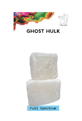 Ghost hulk